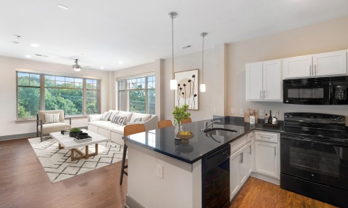 a kitchen and a living room 